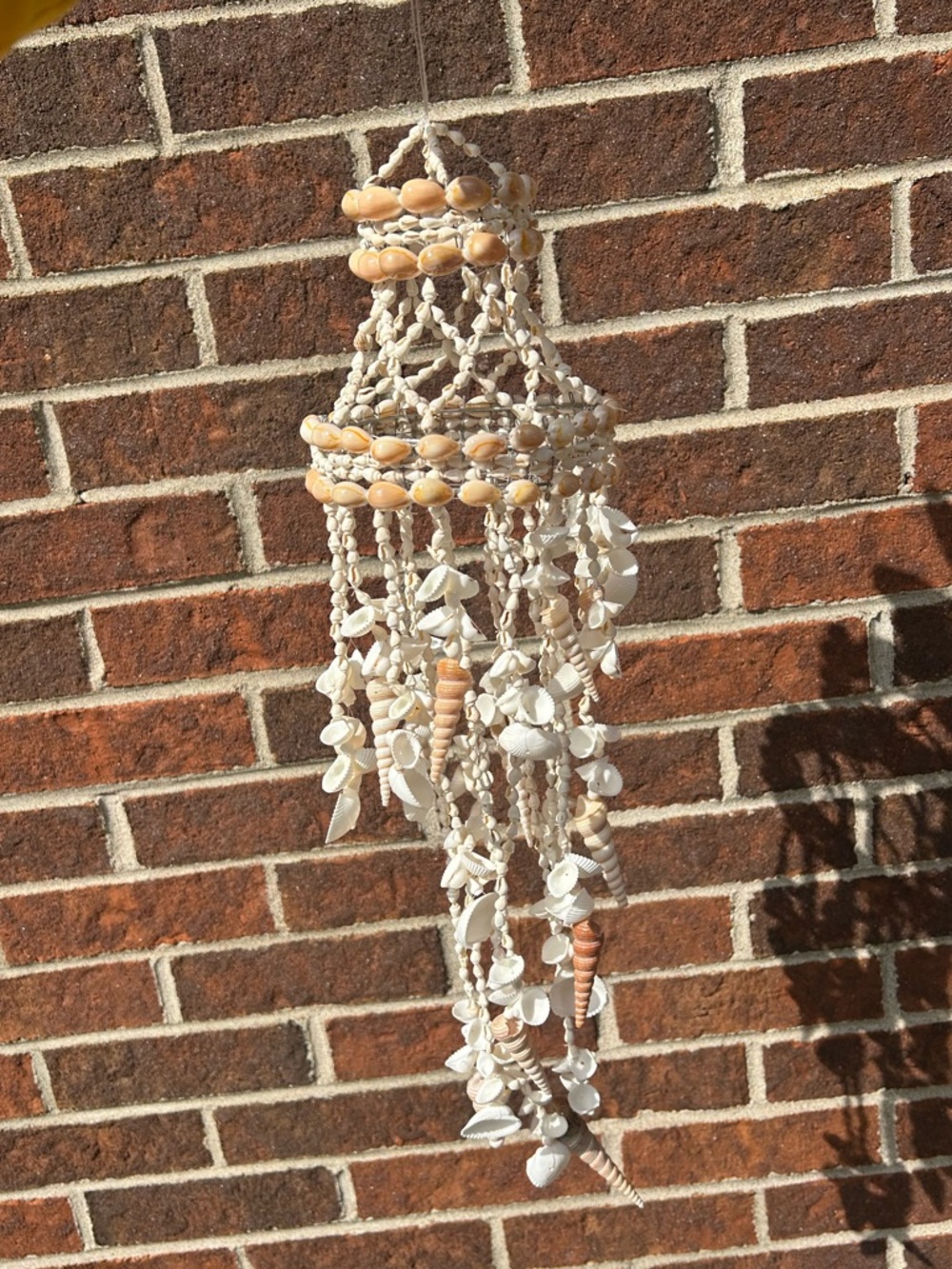 Shell chandelier - Picture 6 of 16